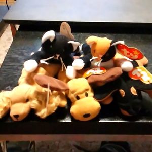 Zip and Chip kittens. Spunky, Bones and Doby puppies. Ty McDonalds Teenie Beanie